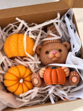 Coffret d’automne – Petit ours & citrouilles