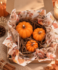 Coffret de 3 bougies Citrouilles – Parfum Spiced Pumpkin